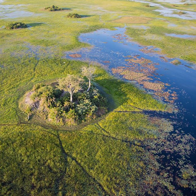 Into the Okavango — Ian Ardouin-Fumat